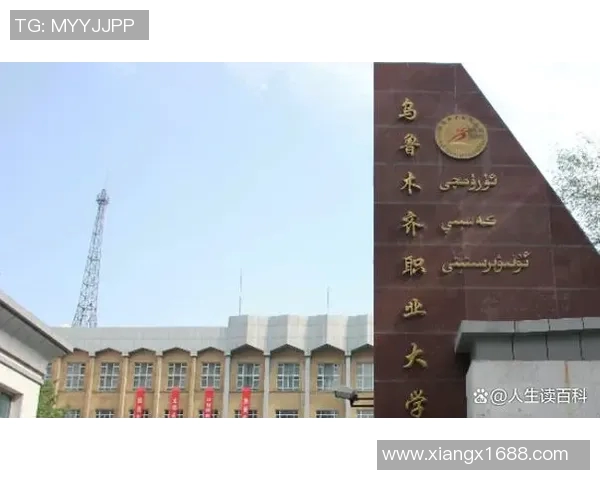 朱俊龙的成长之路与职业生涯探秘：从青涩少年到篮球场上的璀璨明星