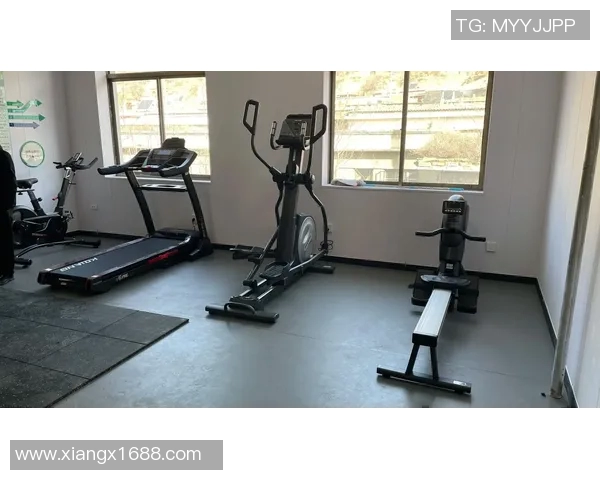 专业体育健身器材安装服务提升您的健身体验与运动效果